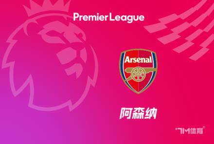 主場(chǎng)負(fù)于紐卡！阿森納連續(xù)13場(chǎng)不敗紀(jì)錄終結(jié)