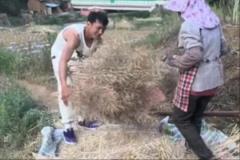 矣進(jìn)宏干農(nóng)活：堅(jiān)持到底，只為當(dāng)初的選擇