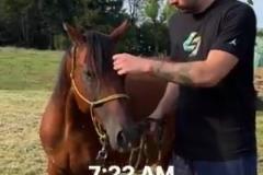 休息日！東契奇體驗(yàn)了農(nóng)場(chǎng)主生活一日游