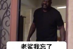 大鯊魚終于入手了一輛適合自己尺寸的汽車，奧胖：我太難了