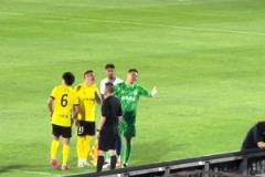 笑死！這位網(wǎng)友真是王大雷的王牌翻譯官