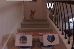 上課??！暫停期間，庫(kù)里和巴特勒包夾希爾德，輪流對(duì)其輸出