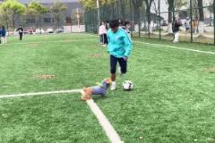 難兄難弟！李霄鵬：泰山隊不太好還能有我們不太好嗎